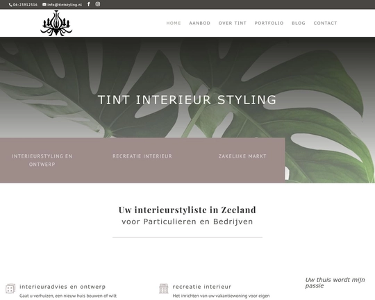 Tint Interieur Styling Logo